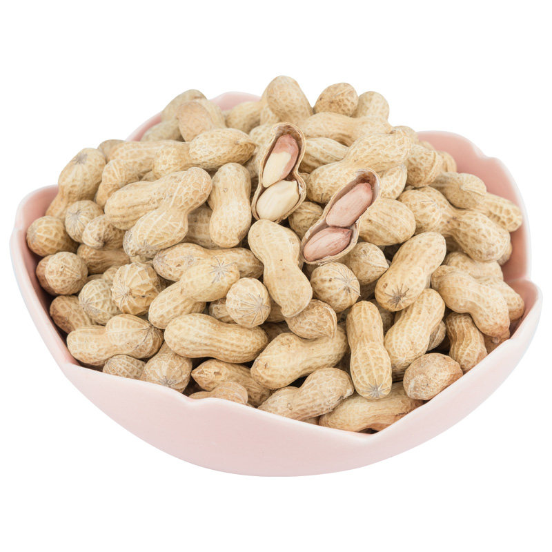 大有蒜香花生蒜蓉味500g小包装陈皮花生咸干花生带壳广东水煮香脆
