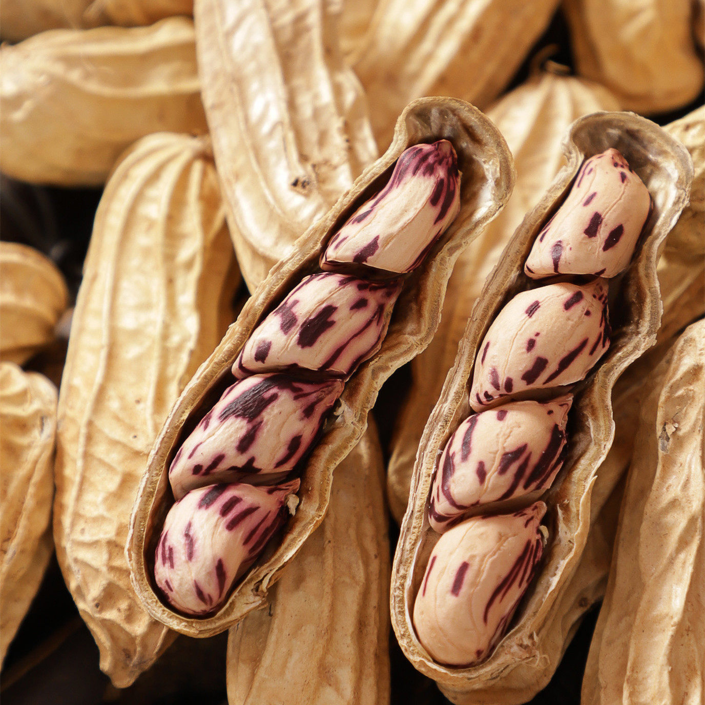 花生2020新货云南七彩生水果种子冠带花生