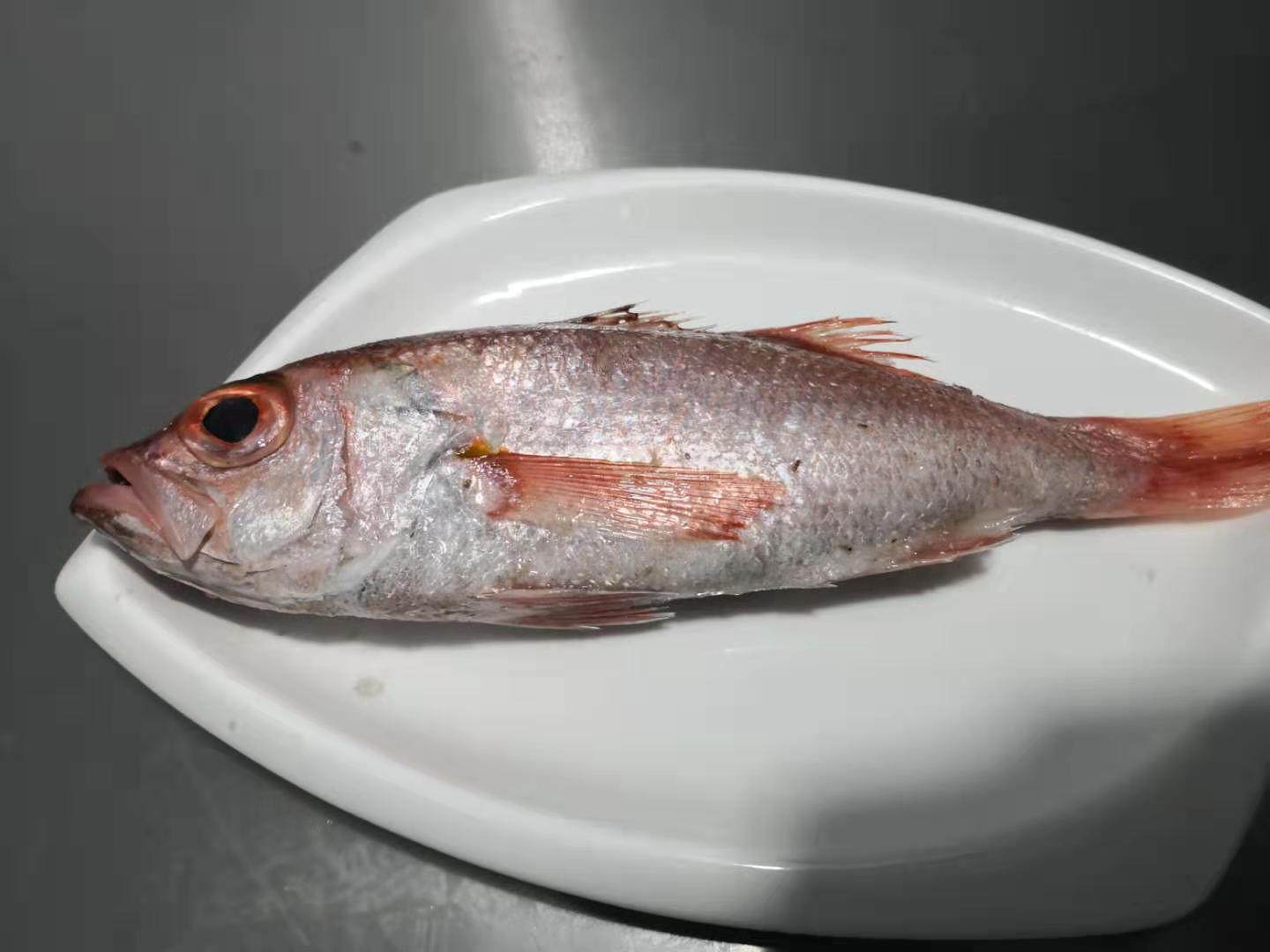 海蜀黍出品东海舟山野生深水中大红果鲤3两至5两海鲜中的皇者鱼