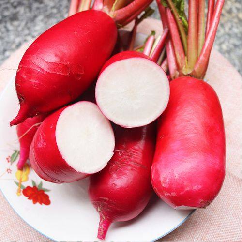 萝卜四川顺丰红萝卜小红胭脂红半头特产用水专用萝卜