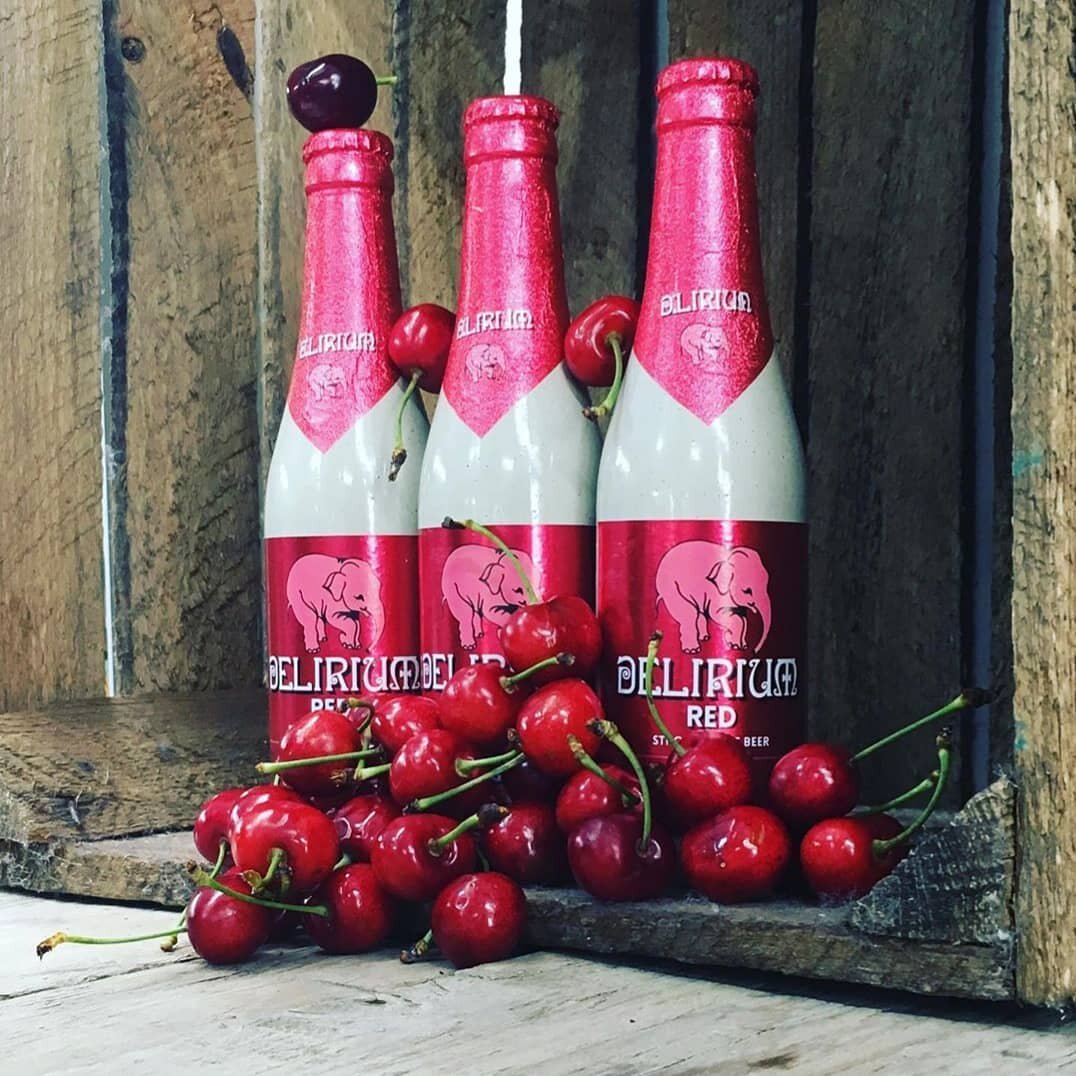 6瓶比利时进口浅粉象粉象樱桃深粉象330mlx6瓶组合精酿啤酒