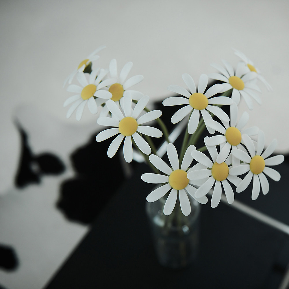 猫咪focofo小雏菊网红逗猫玩具用品斗猫小猫磨牙逗猫棒