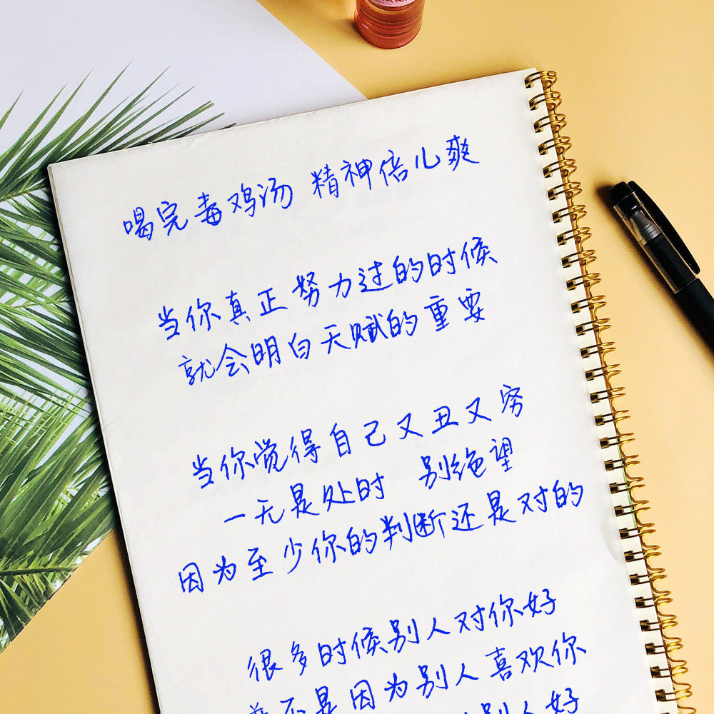 岁月文艺风网红行楷大学生艺风字帖静好少女逸连练字帖