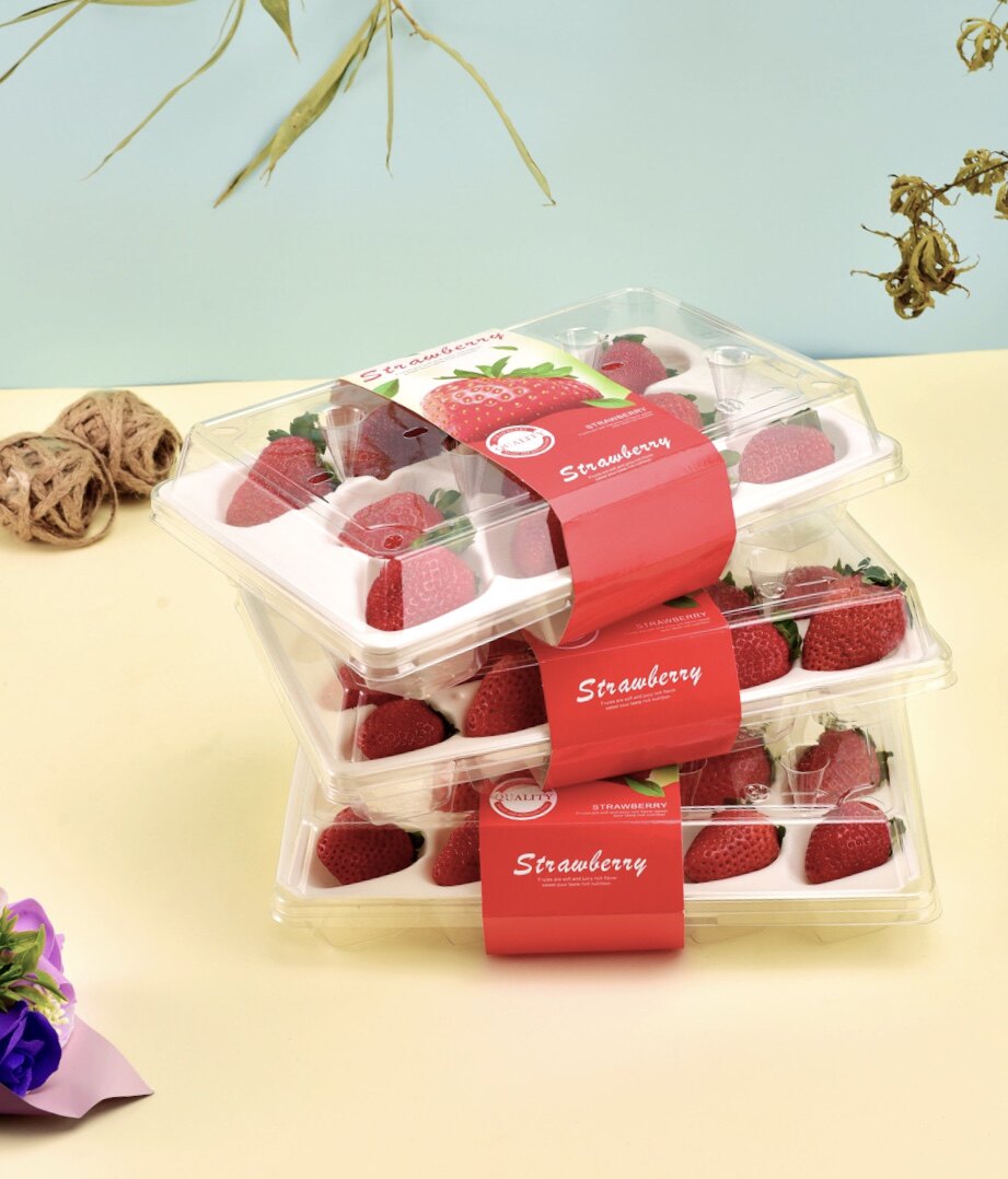 防震草莓盒子包装盒加厚透明水果盒11粒15粒20粒装可快递内托草莓