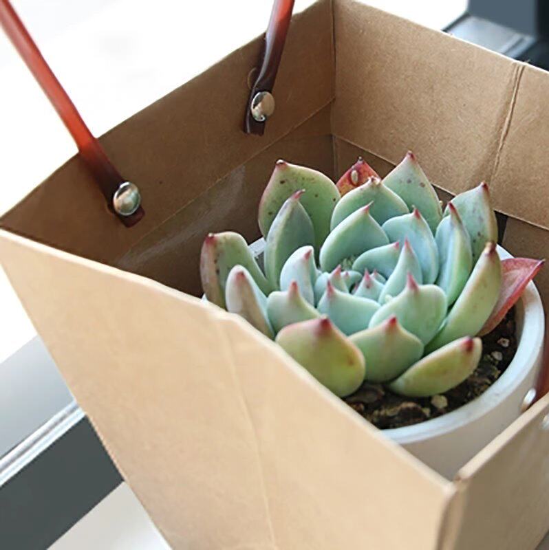 手提袋牛皮纸手提花篮防水多肉盆栽绿植鲜花花束花艺包装盒