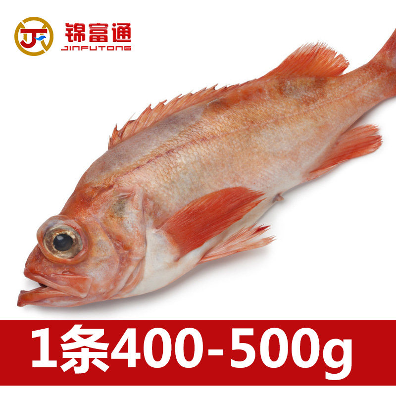 红鱼挪威进口大眼冷冻大西洋鲜活急冻锁鲜大红淡水鱼类