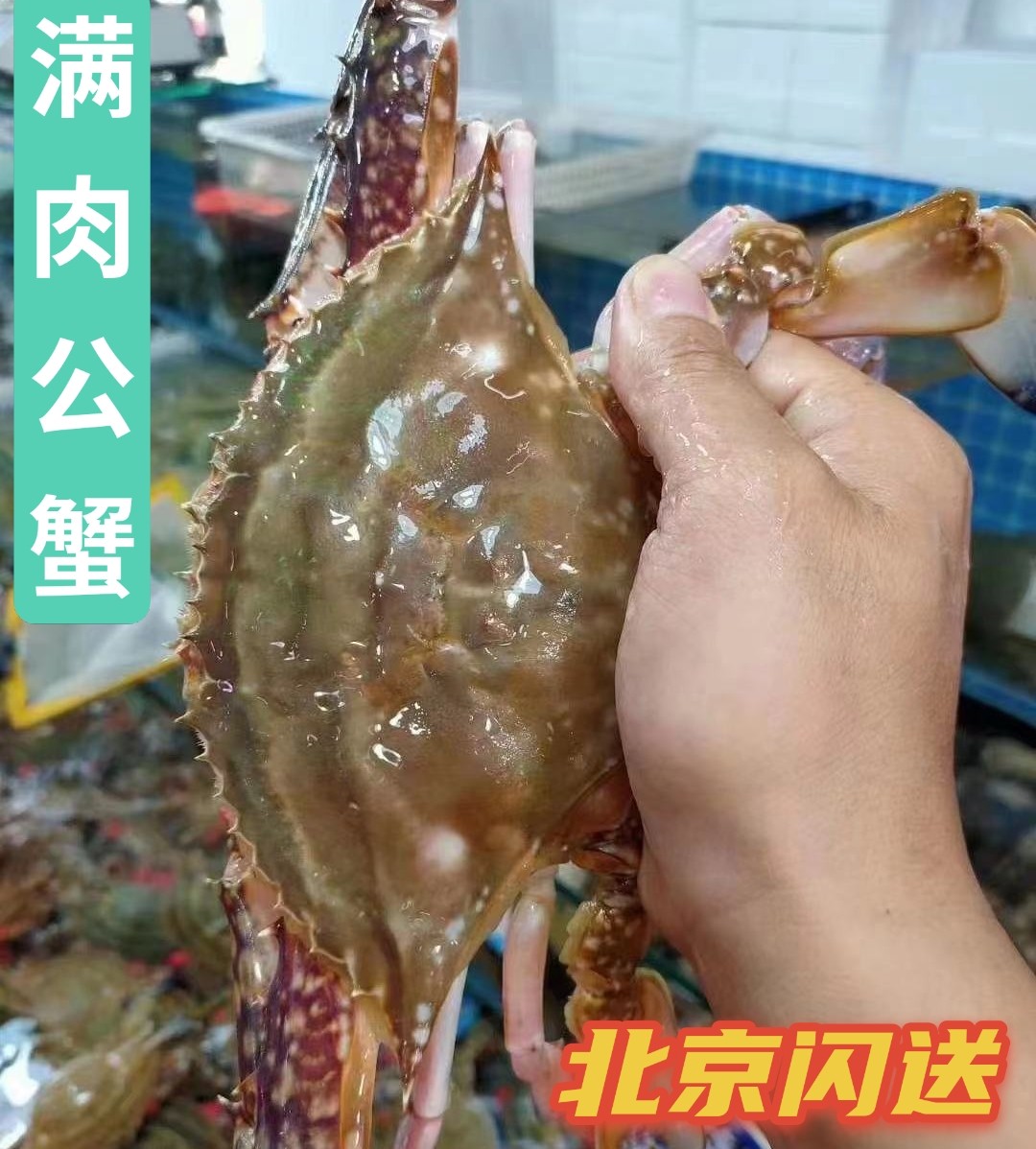 北京闪送5两公蟹鲜活满肉公梭子海鲜海蟹水产梭子蟹