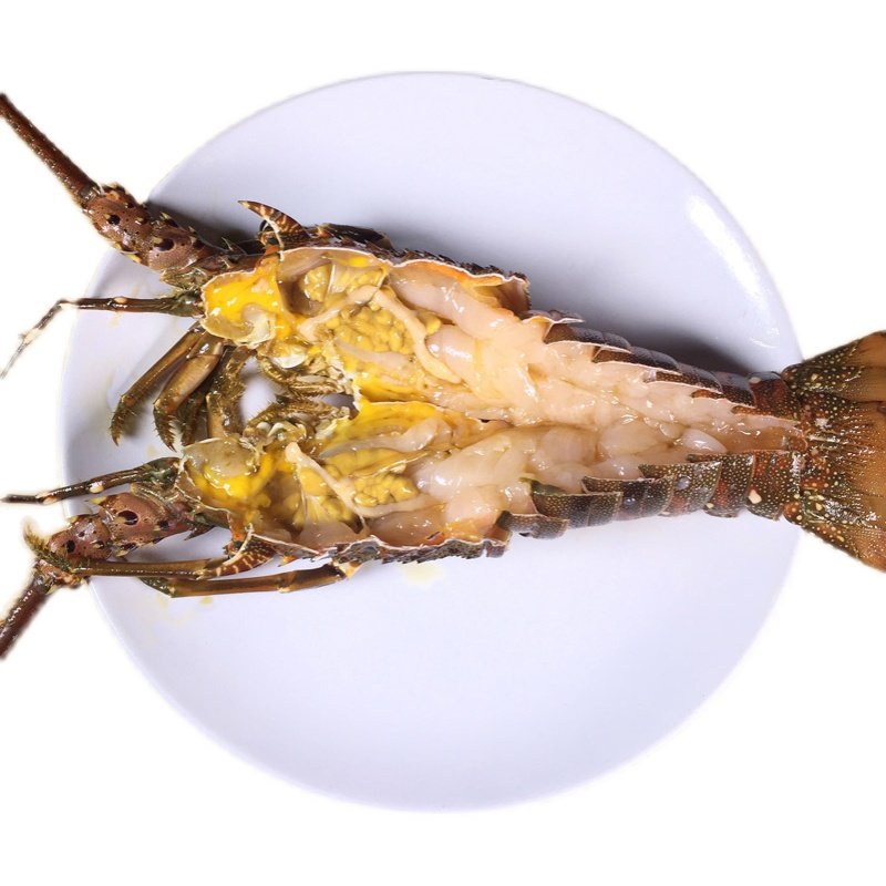 水产 鲜活小青龙 印尼海鲜龙虾 青龙仔 7两1只 北京闪送 - 爱购网
