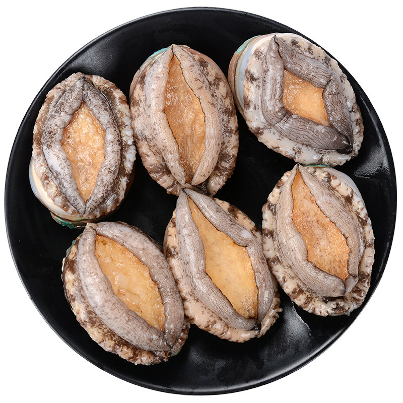 鲍鱼冰鲜青岛6头新鲜海海鲜水产贝类九孔鲍鱼