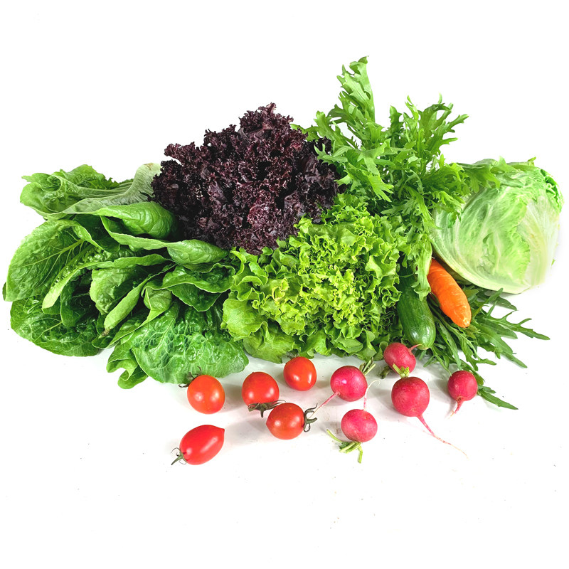 新鲜蔬菜沙拉组合3斤混合蔬菜健身轻食沙拉食材生菜色拉配菜