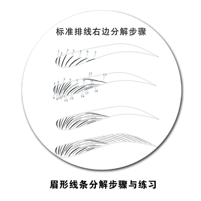 眉毛初学练习本化妆眉形入门练习画眉眉型步骤彩妆入门练习练眉册