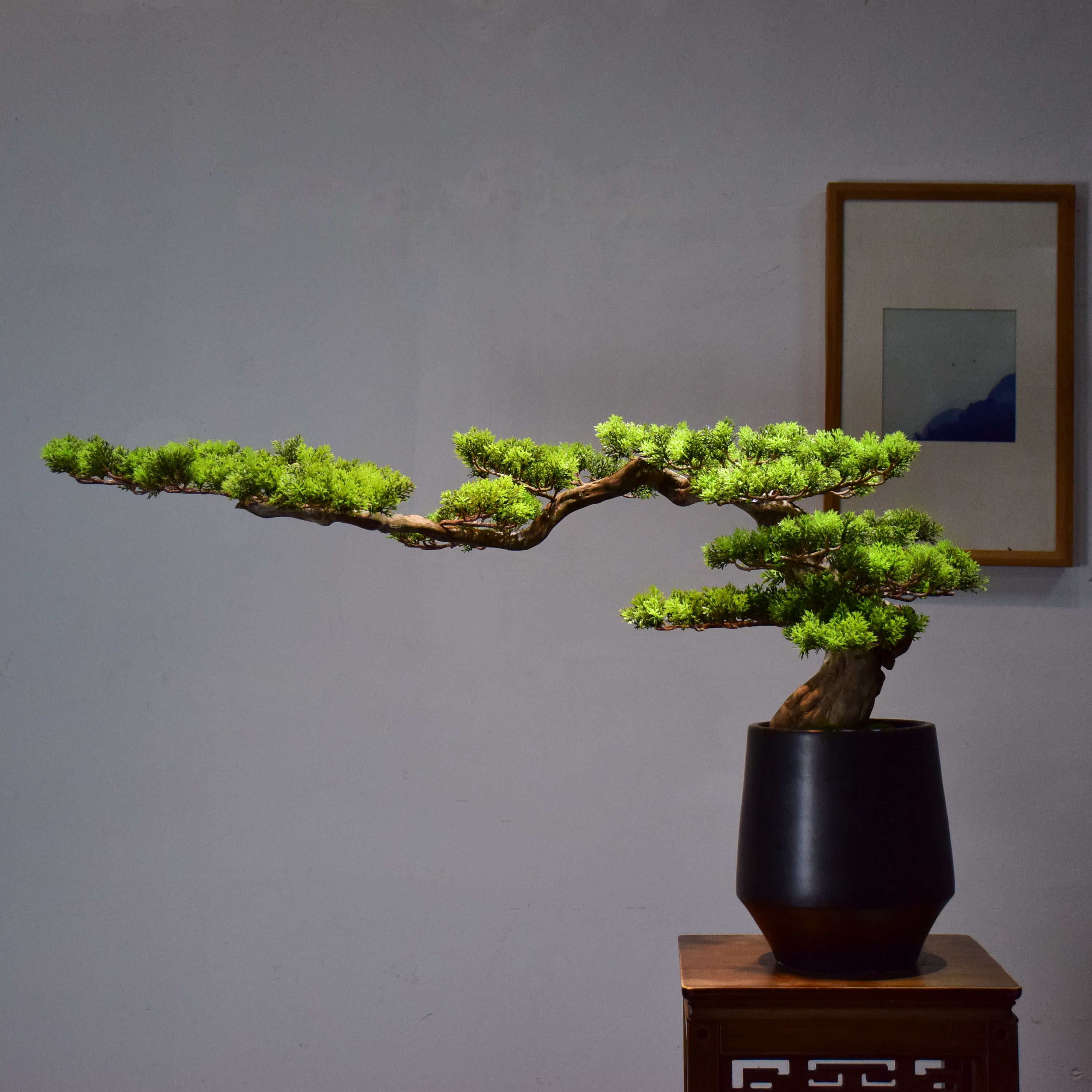 新中式盆景室内日式家居装饰玄关酒店客厅绿植实木摆件