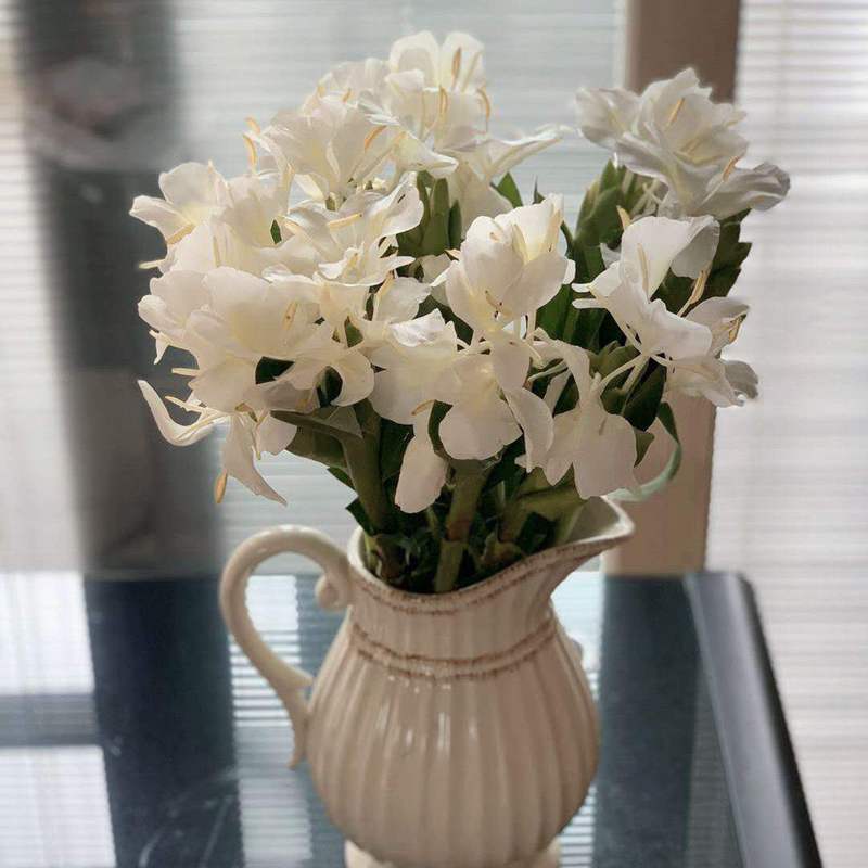 顺丰包邮10支鲜切姜花3060个头鲜花速递同城广东时令草本花卉