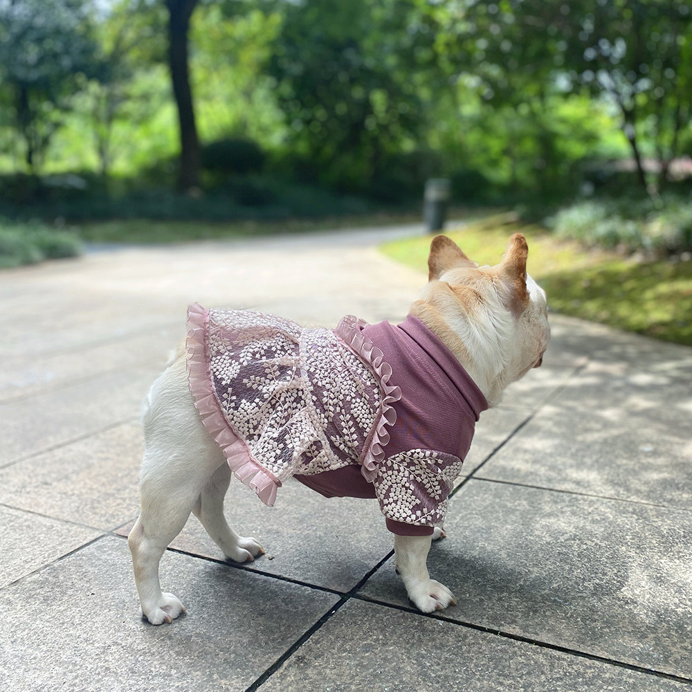 tata法斗针织蕾丝抹胸橡皮柯基泰迪连衣裙秋冬宠物服装