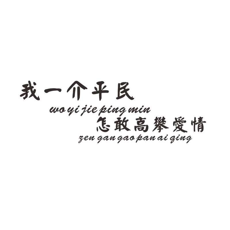 车贴我一一介平民怎敢高攀爱情抖音网红个性汽车装饰贴