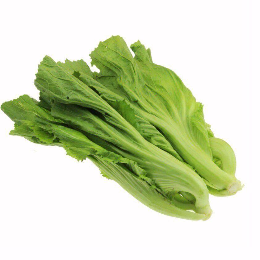 芥菜种子原厂包装蔬菜四季包心大四川酸菜鱼大叶家庭园艺种子