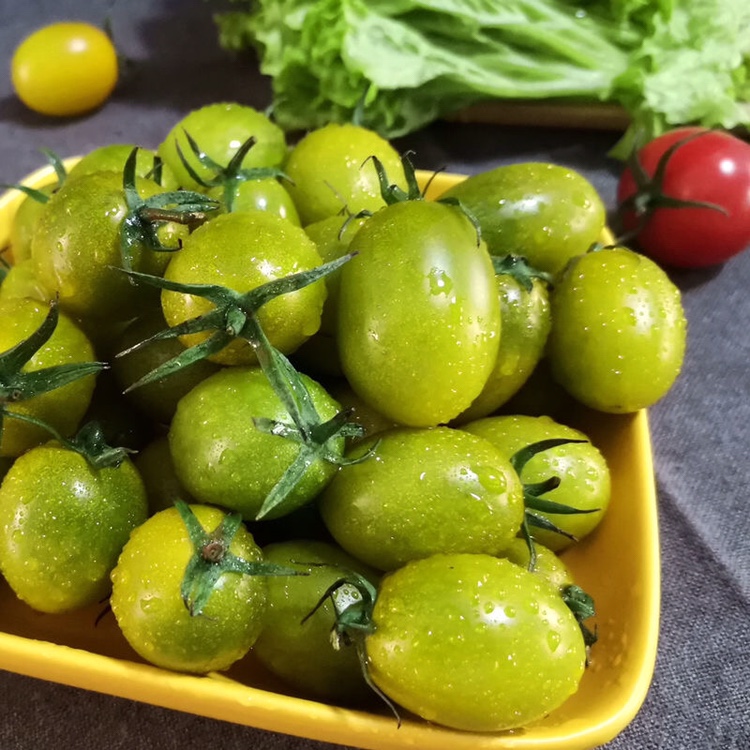 顺丰包邮青口蜜圣女果新鲜2斤4斤绿色番茄西红柿番茄