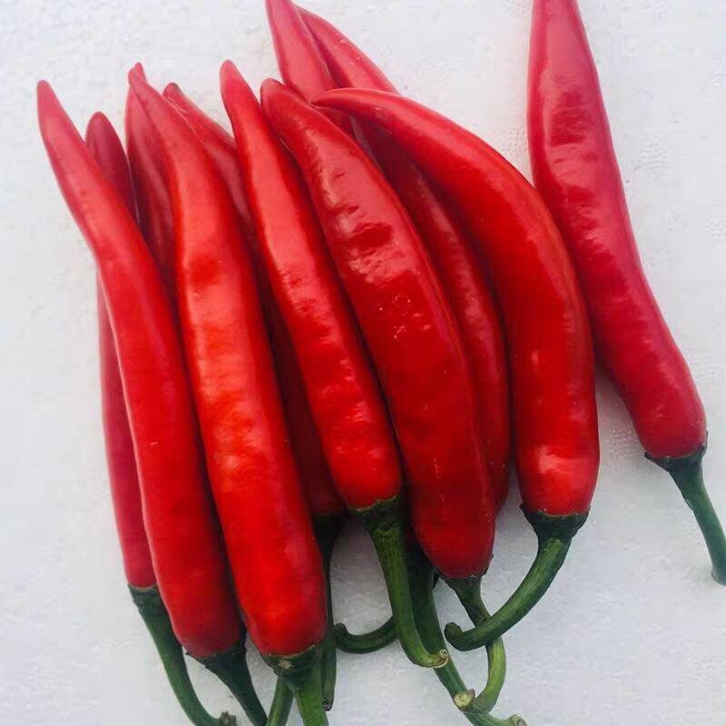 助农美人椒全红辣椒新鲜3斤5斤红线蔬菜现摘辣椒