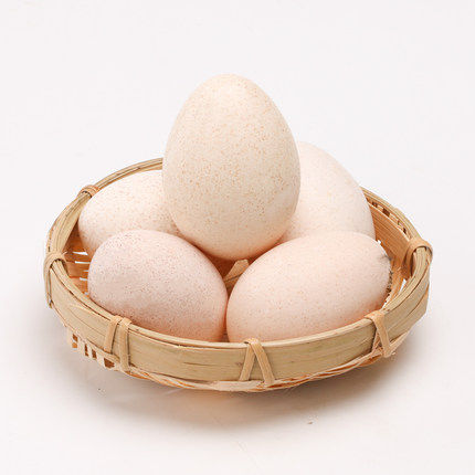 火鸡种蛋 尼古拉500系受精蛋,火鸡蛋 鸡苗 包邮 孵化蛋