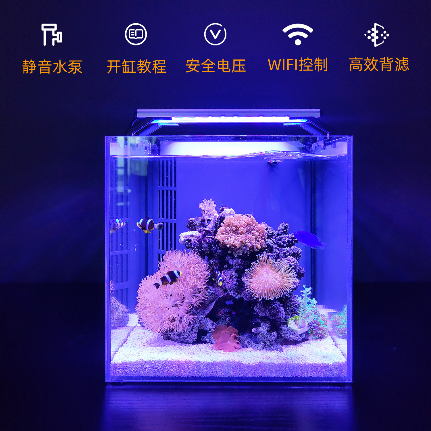 小丑小丑鱼鱼缸海水缸全套造景小型客厅家用桌面桌面缸