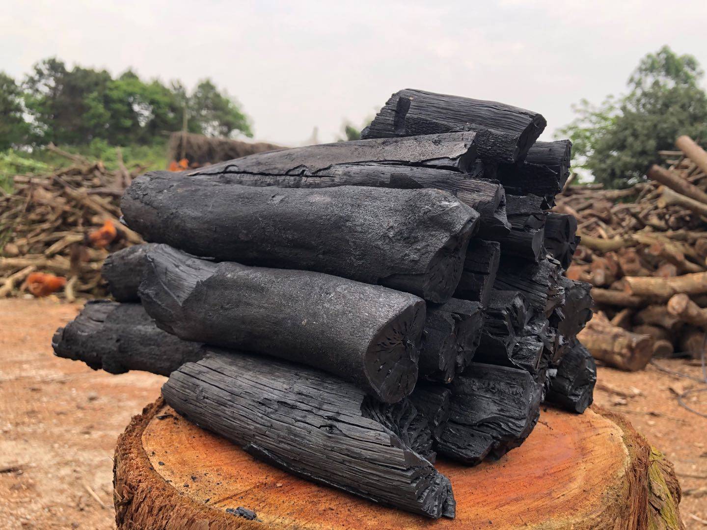 木炭果木10斤环保炭点火烧烤肉摆摊竹炭持久烧烤炭