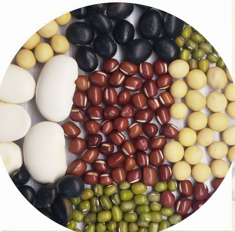 精选发财五色五谷豆浆组合500g包邮白芸豆红豆黄豆