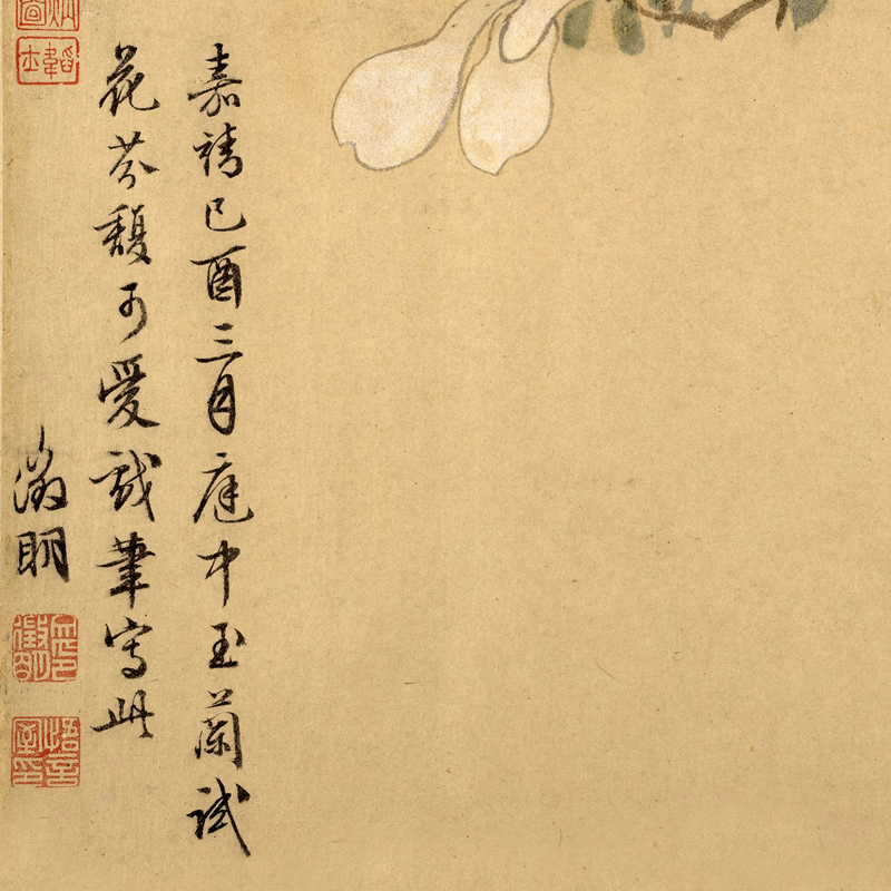 明文徵明白玉兰图仿古画书房办公室卧室客厅装饰画挂轴装裱字画