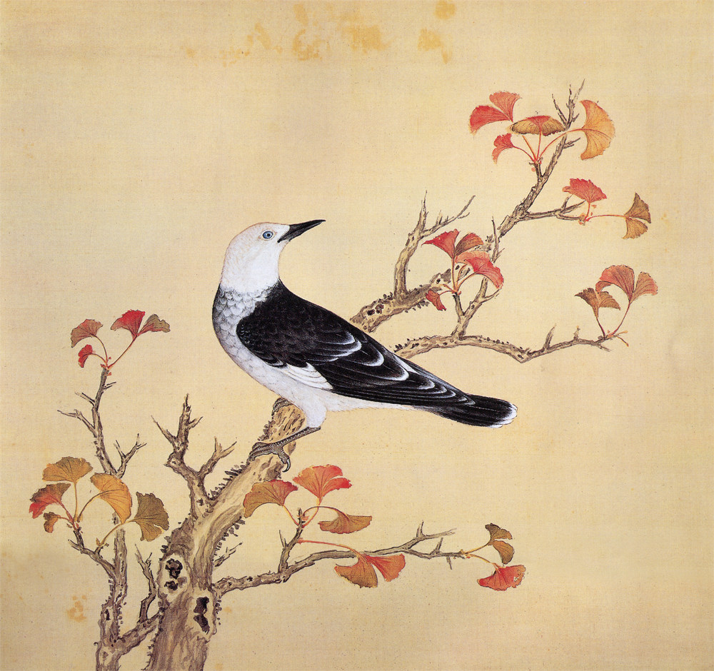 故宫鸟谱白哥仿古画复制名人字画名家书画29x32花鸟画国画