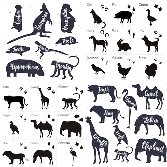 十二生肖动物脚印图片图片