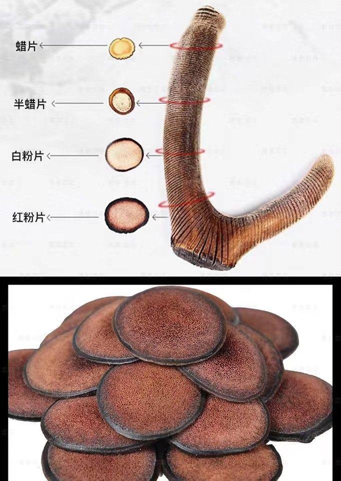 吉林省鹿茸红粉30克长春双阳包邮泡煲汤煮水炖菜鹿茸片