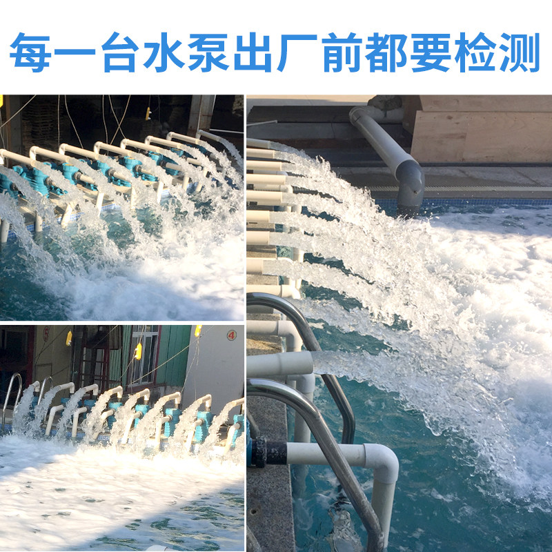 游泳池循环水泵沙缸过滤泵水池鱼池吸污泵水上乐园泳池水处理设备