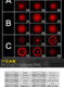 Fog lights taillights led car lights retrofitted after Scooter Parts Spotlight rear-end laser lights Fog lights taillights led car lights retrofitted after Scooter Parts Spotlight rear-end laser lights