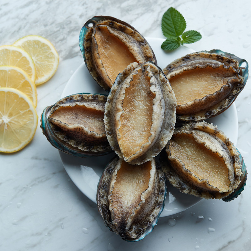 鲍鱼鲜活新鲜个大8头480g贝类海鲜冻煮活大鲍鱼