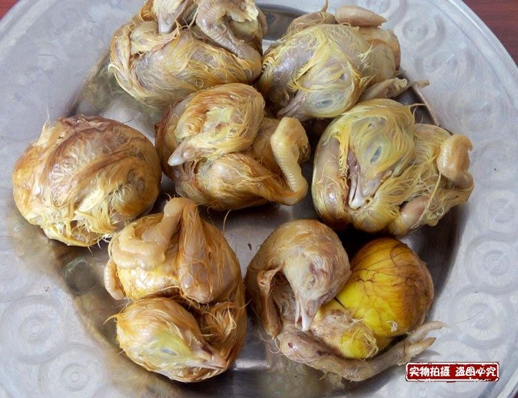 新鲜包邮熟五香十三营养东北鸡胚胚蛋鸡蛋蛋鸡鸡蛋