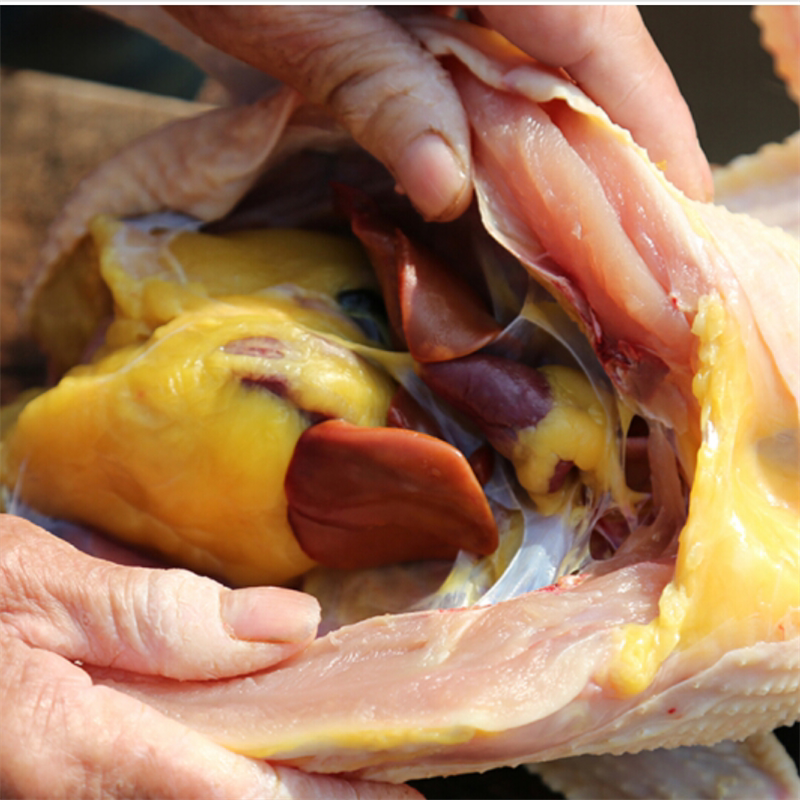 【一手三鸟】新鲜老母鸡散养600天整只老母土鸡现杀顺丰空运