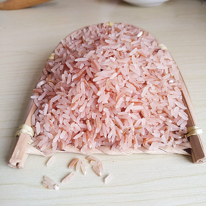 5斤广西红米食用米新米煮粥粮食红米饭农家软的吃的红大米2500g