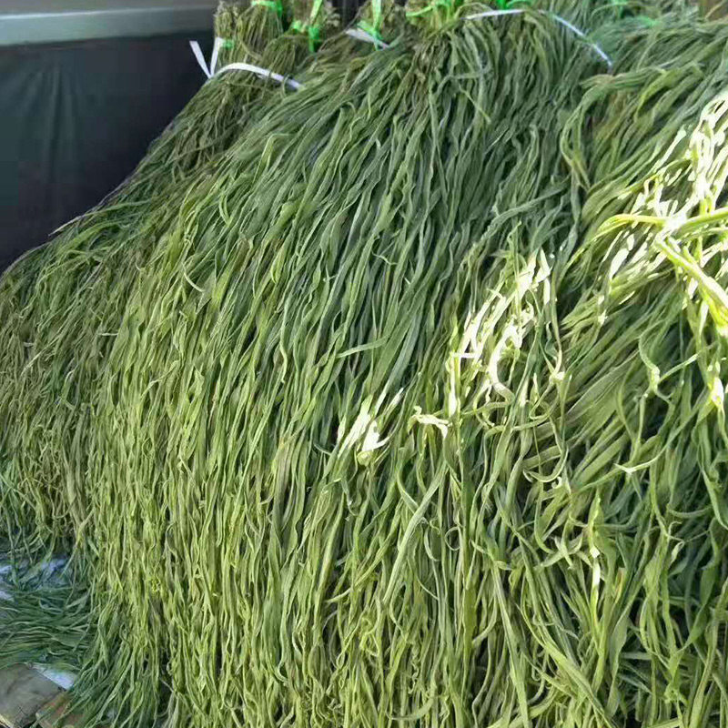 贡菜云南干供干货苔干即食特级台干安徽涡阳其它