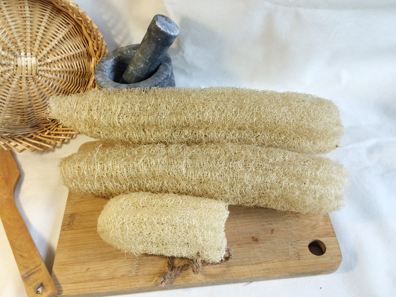 丝瓜瓜瓤洗碗天然厨房家用刷锅不粘油不伤锅浴刷