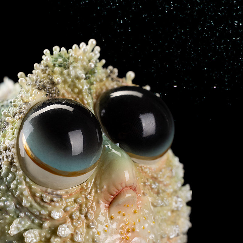 secret小版doryfish小怪兽玩偶树脂小丑鱼创意工艺品装饰摆件