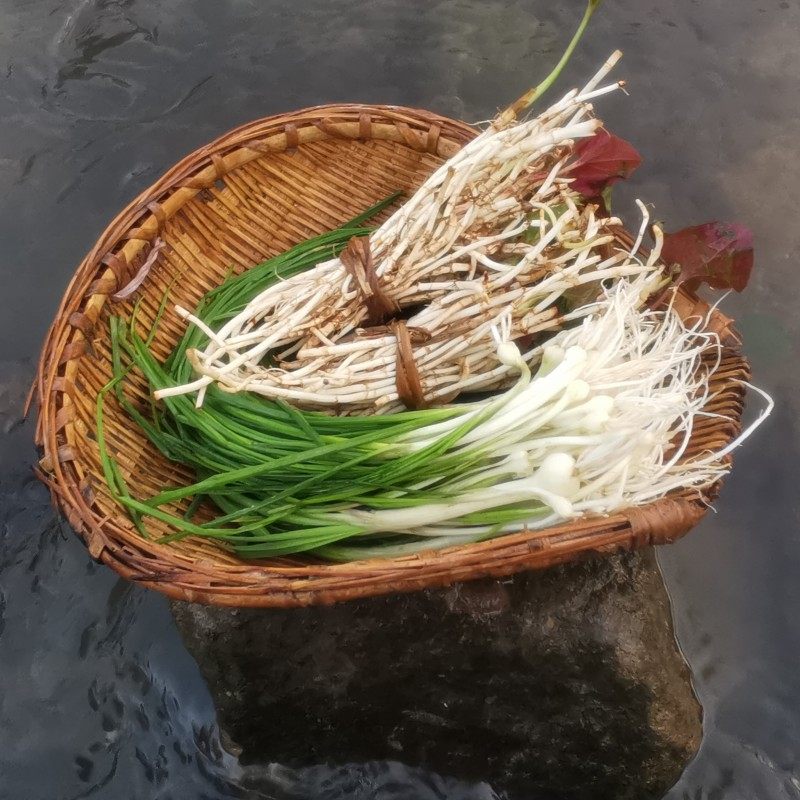 野菜葱特品包农产品农产食用小葱香葱蒜野小野葱类