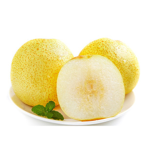 砀山酥梨贡梨品质百年老树果实果大核小脆甜多汁现摘现发产地直销