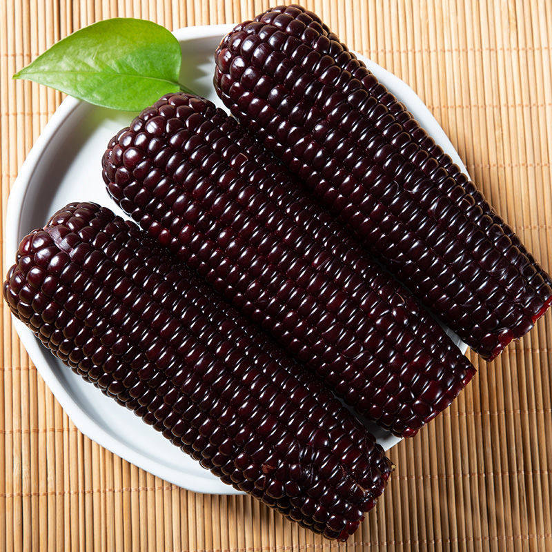 玉米新鲜粘糯苞米真空真空包包装紫玉米玉米棒代餐玉米