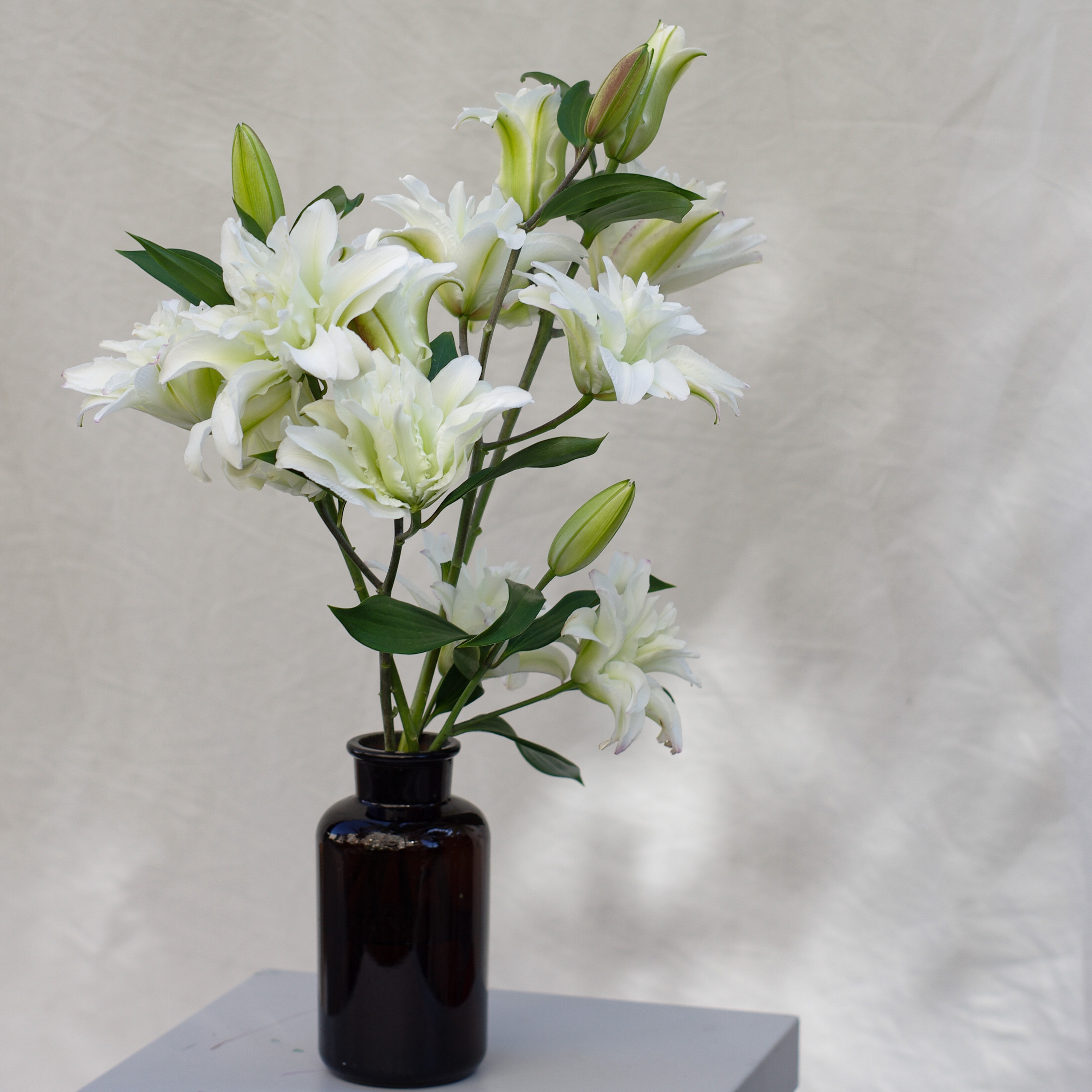 重瓣百合鲜花冰美人蜜糖水晶伊莎贝拉红双喜赞美士小公主云南直发