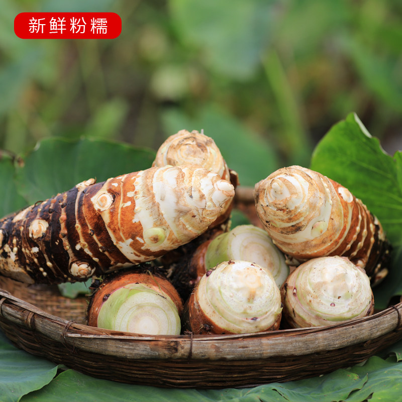 5斤食材粉糯芋头槟榔炮弹火锅包邮新鲜香芋芋头