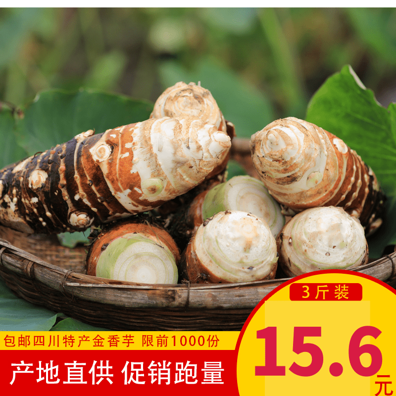 新鲜金香芋头四川四川人人头槟榔芋毛芋非荔浦芋头