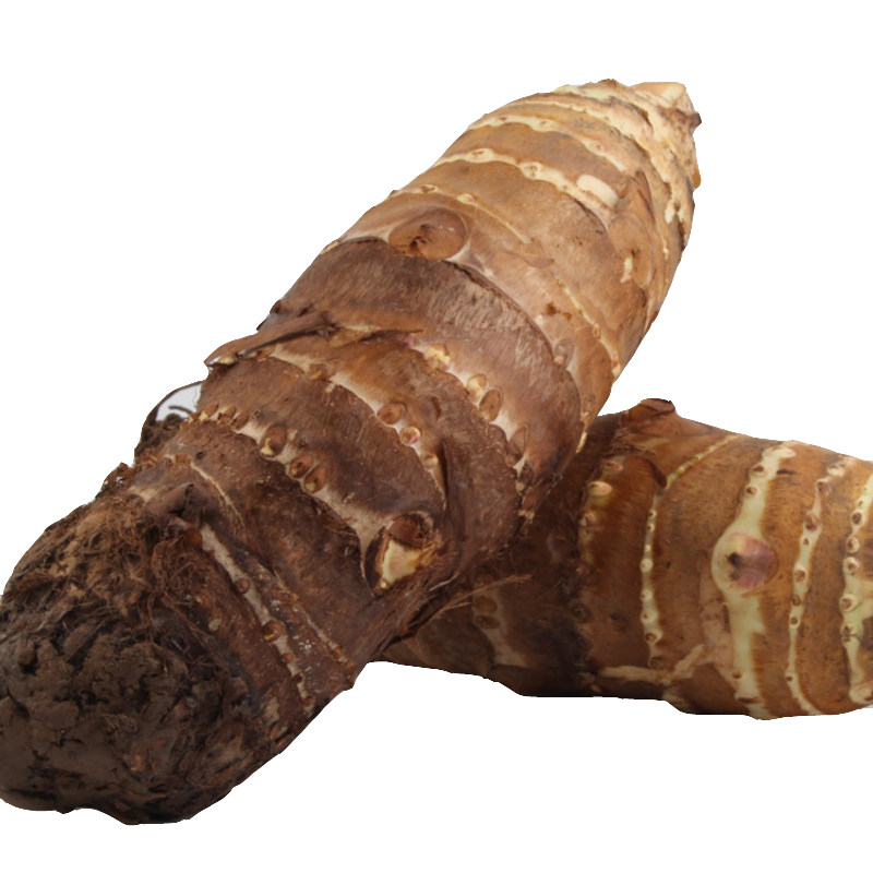 新鲜金香芋头四川人头芋槟榔芋毛芋非荔浦芋农家现挖当季蔬菜免邮