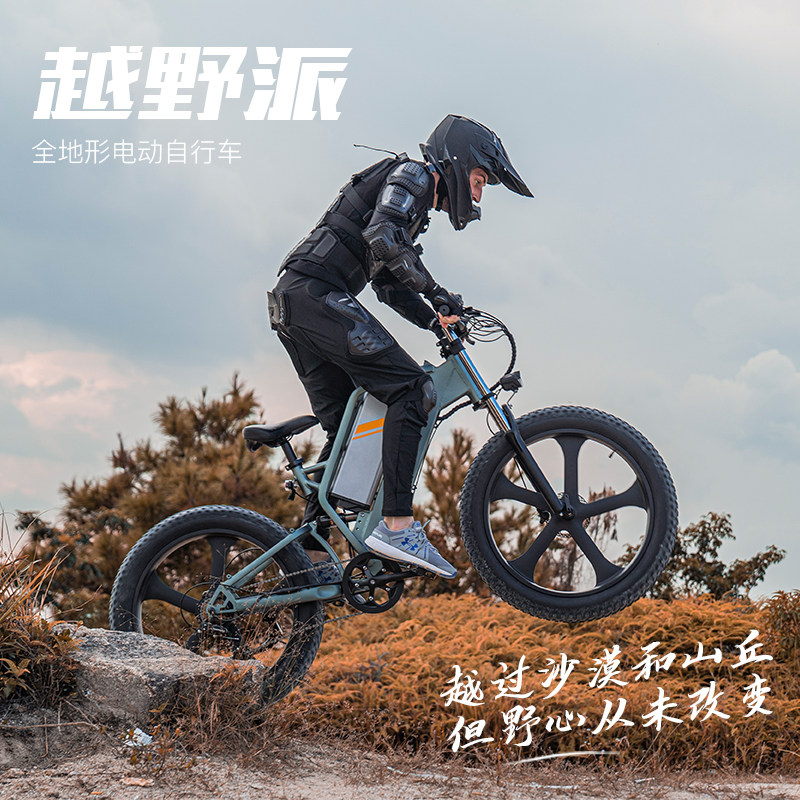 ftn锂电池电动自行车助力代步沙滩越野车电瓶车山地电动自行车