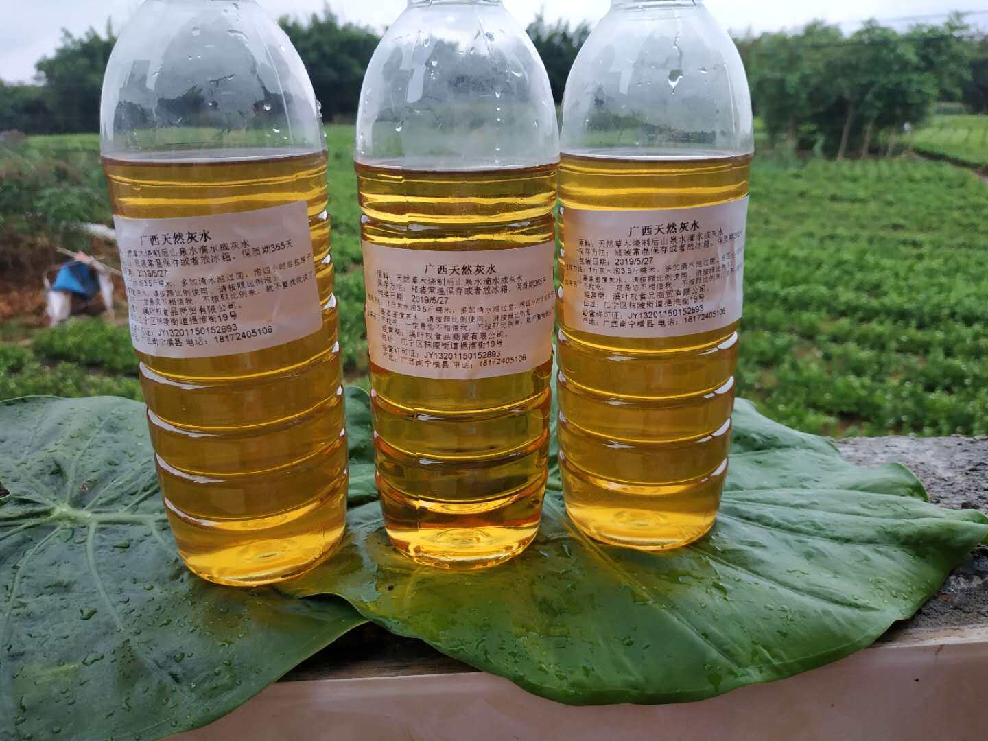 灰水纯天然500g包灰粽专用天然食用布惊灰鸭掌艾草山茶油