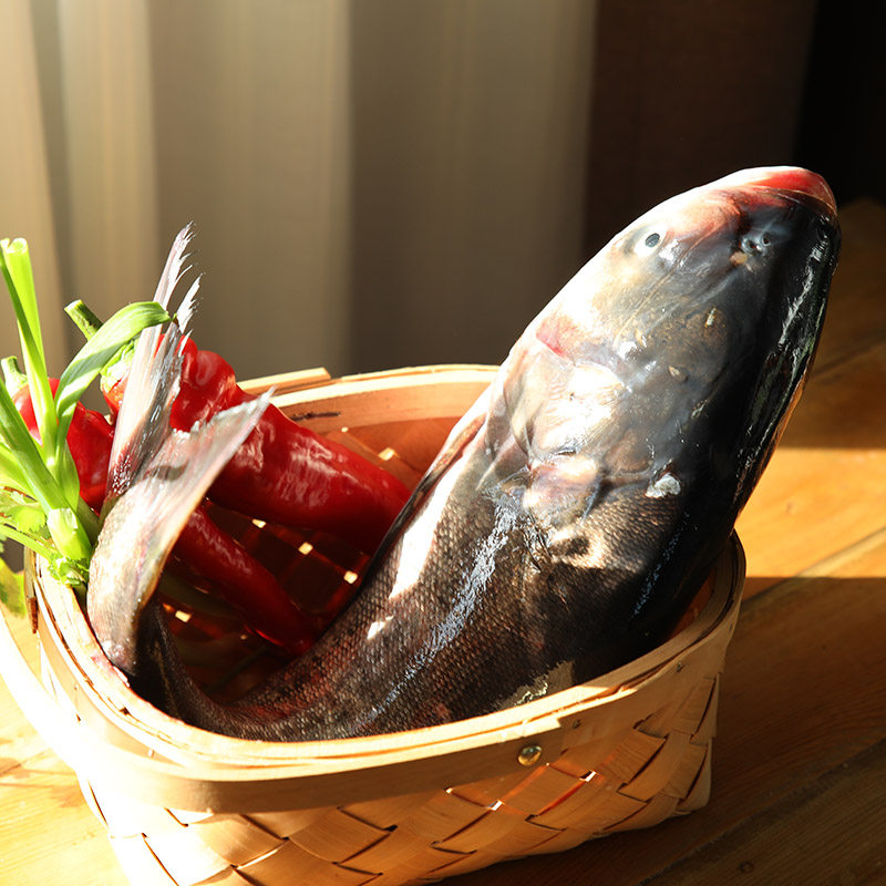 查干湖冬捕特大有机胖头30斤春节礼盒海鲜年夜饭淡水鱼类