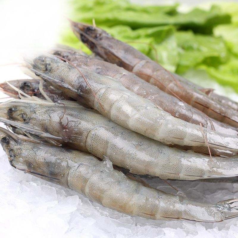 鲜活海大虾鲜虾鲜活海鲜水产青虾对虾白虾基围虾冻虾